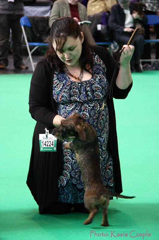 Crufts2011_2 806.jpg